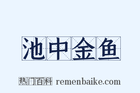 池中金鱼是什么意思的图片
